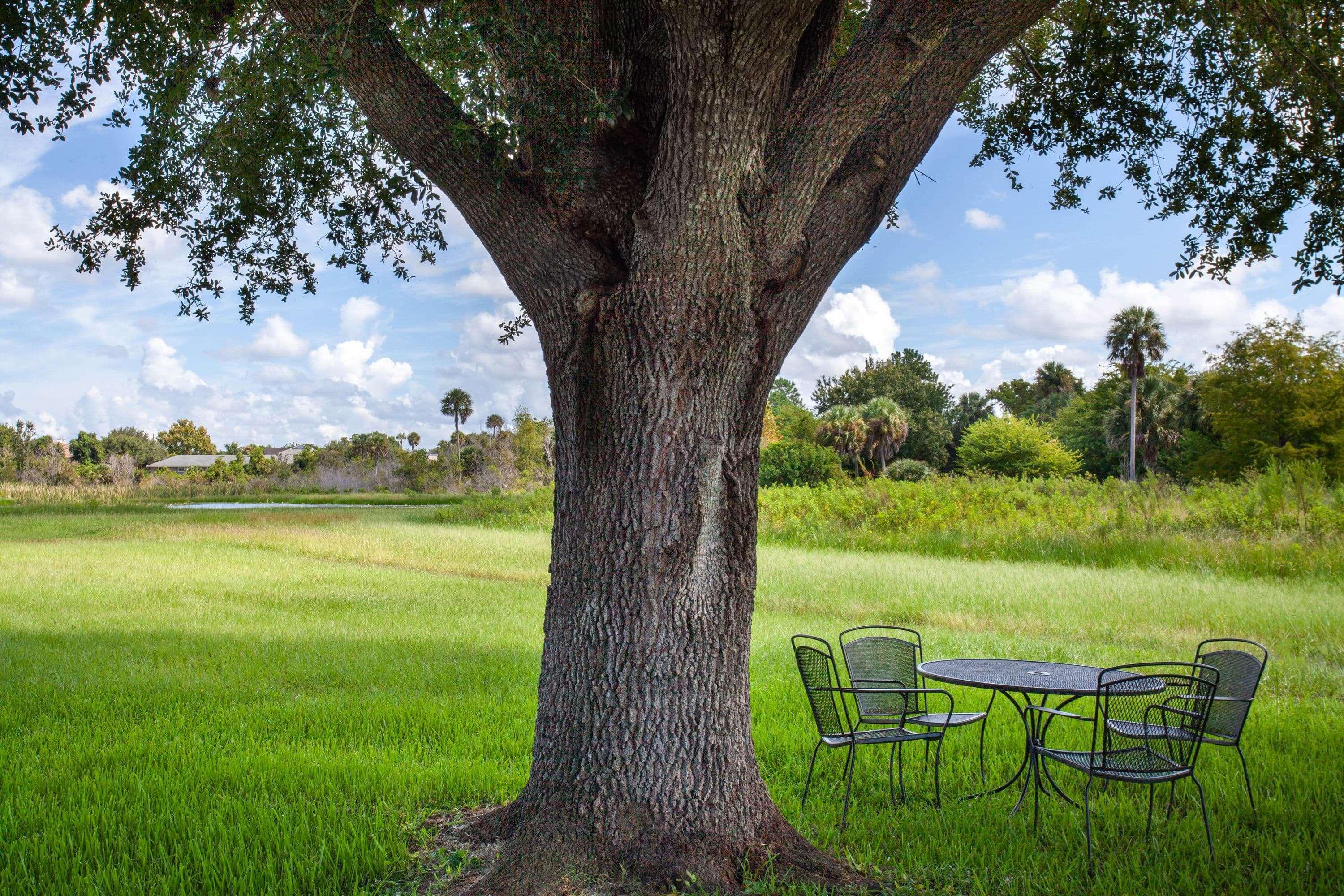Travelodge By Wyndham Deltona Exterior foto